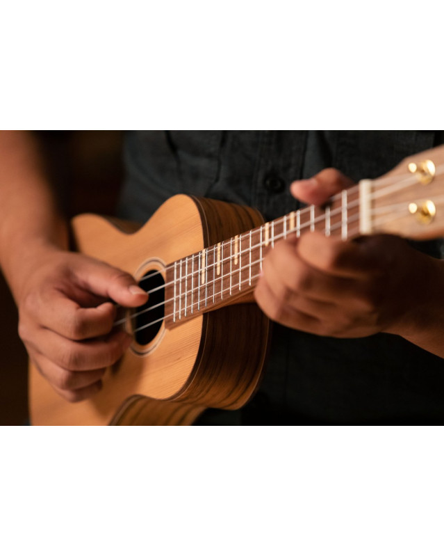 Ortega RUTI-CC Timber Series Concert Ukulele 4 String - Solid Cedar / Walnut Natural + Bag