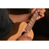 Ortega RUTI-CC Timber Series Concert Ukulele 4 String - Solid Cedar / Walnut Natural + Bag