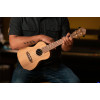 Ortega RUTI-CC Timber Series Concert Ukulele 4 String - Solid Cedar / Walnut Natural + Bag