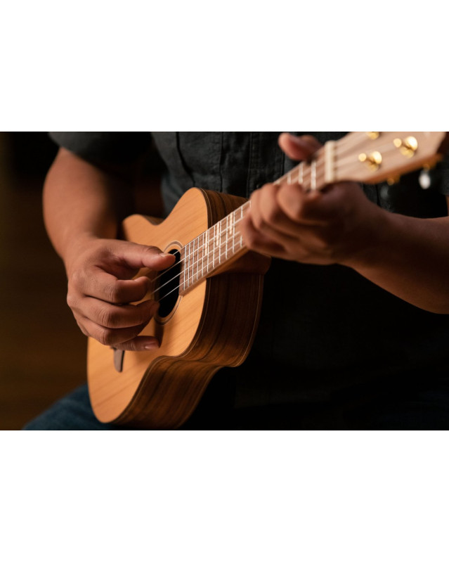 Ortega RUTI-TE Timber Series Tenor Ukulele 4 String - Solid Cedar / Walnut Natural + Bag