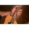 Ortega RUTI-TE Timber Series Tenor Ukulele 4 String - Solid Cedar / Walnut Natural + Bag