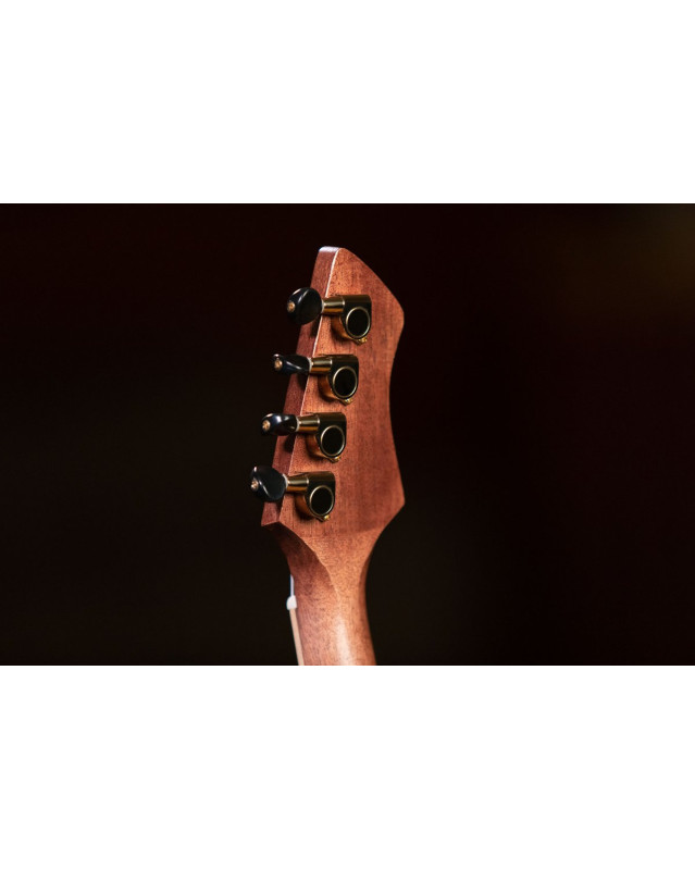 Ortega RUWN Horizon Series Concert Ukulele 4 String - Walnut Natural + Bag