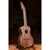 Ortega RUWN Horizon Series Concert Ukulele 4 String - Walnut Natural + Bag