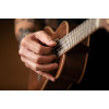 Ortega RUWN Horizon Series Concert Ukulele 4 String - Walnut Natural + Bag
