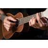 Ortega RUWN Horizon Series Concert Ukulele 4 String - Walnut Natural + Bag