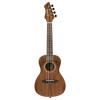 Ortega RUWN Horizon Series Concert Ukulele 4 String - Walnut Natural + Bag