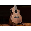 Ortega RUWN-CE Horizon Series Concert Preamp Ukulele 4 String - Walnut Natural + Bag