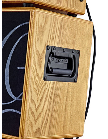 Ortega SONE Amplification Series Speaker Cabinet - 6.5