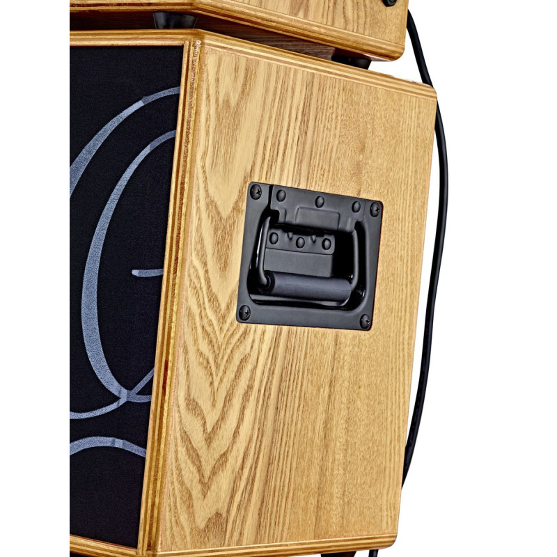 Ortega SONE Amplification Series Speaker Cabinet - 6.5