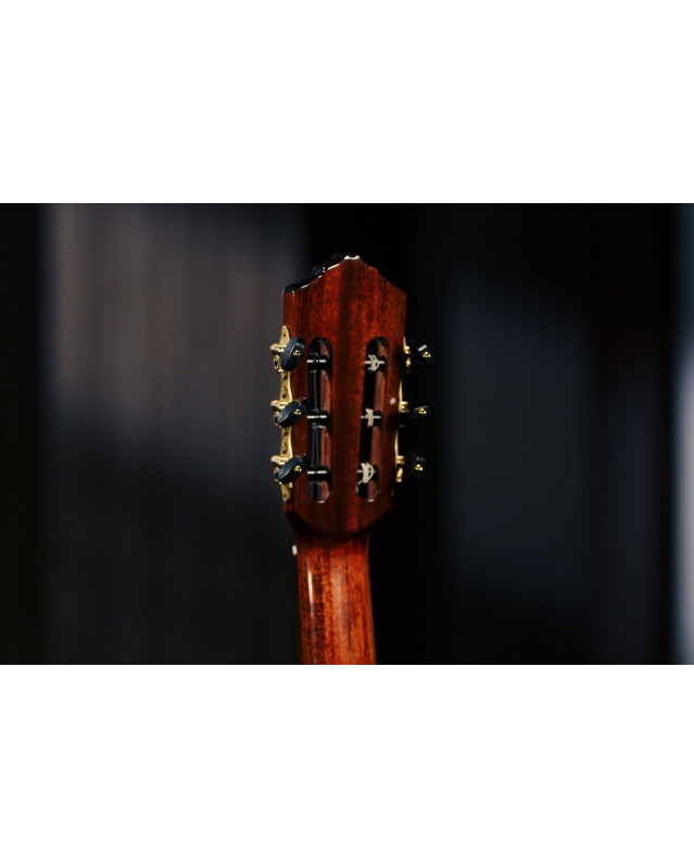 Ortega STRIPEDSU.C/E The Privat Room 4/4 Classical Guitar 6-string - Natural + Gig Bag
