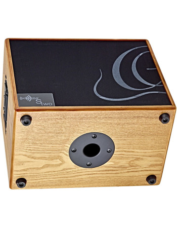 Ortega STWO Amplification Series Speaker Cabinet - 8