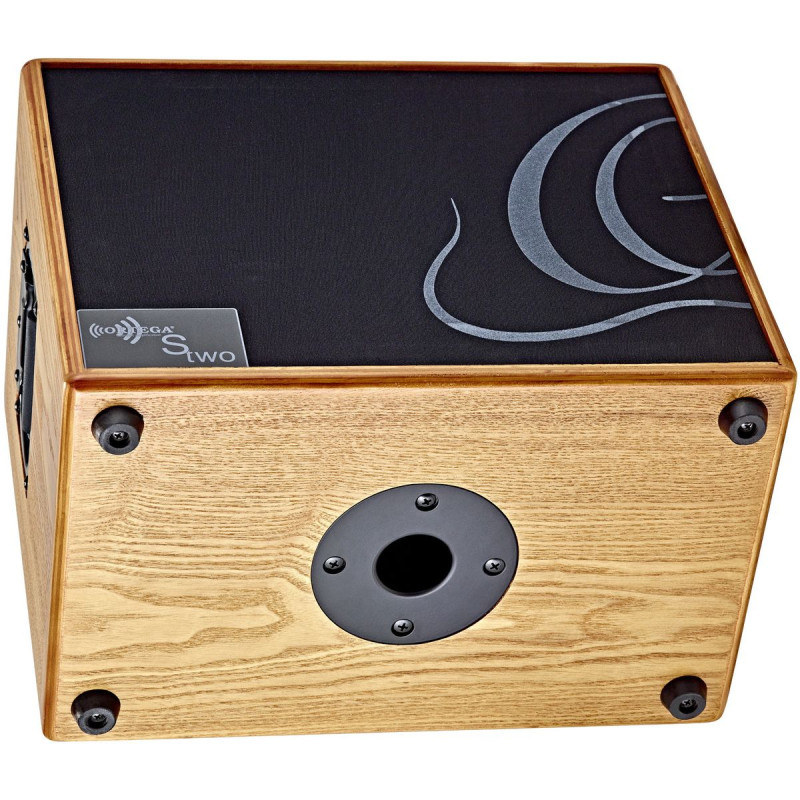 Ortega STWO Amplification Series Speaker Cabinet - 8