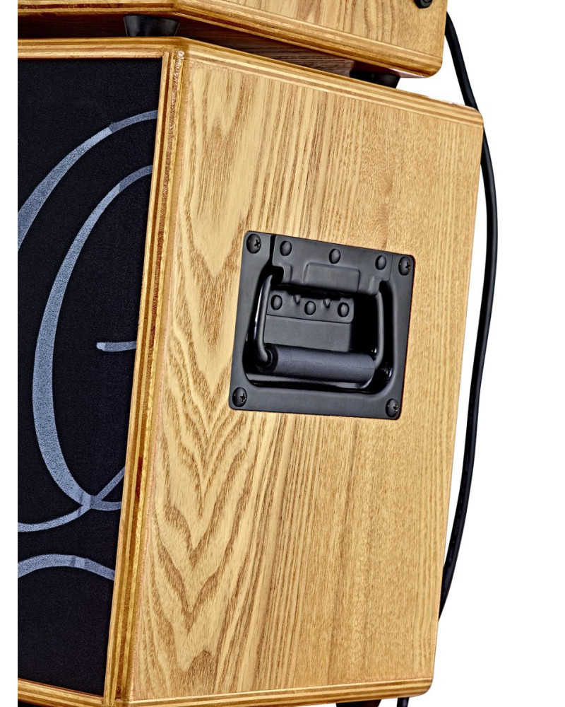 Ortega STWO Amplification Series Speaker Cabinet - 8