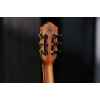 Ortega TZSM-3 Thomas Zwijsen Signature Classical Guitar 6-String + Gig Bag