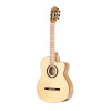 Ortega TZSM-3 Thomas Zwijsen Signature Classical Guitar 6-String + Gig Bag