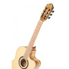 Ortega TZSM-3 Thomas Zwijsen Signature Classical Guitar 6-String + Gig Bag