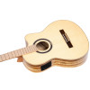 Ortega TZSM-3 Thomas Zwijsen Signature Classical Guitar 6-String + Gig Bag
