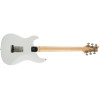 PRS Silver Sky RW Frost