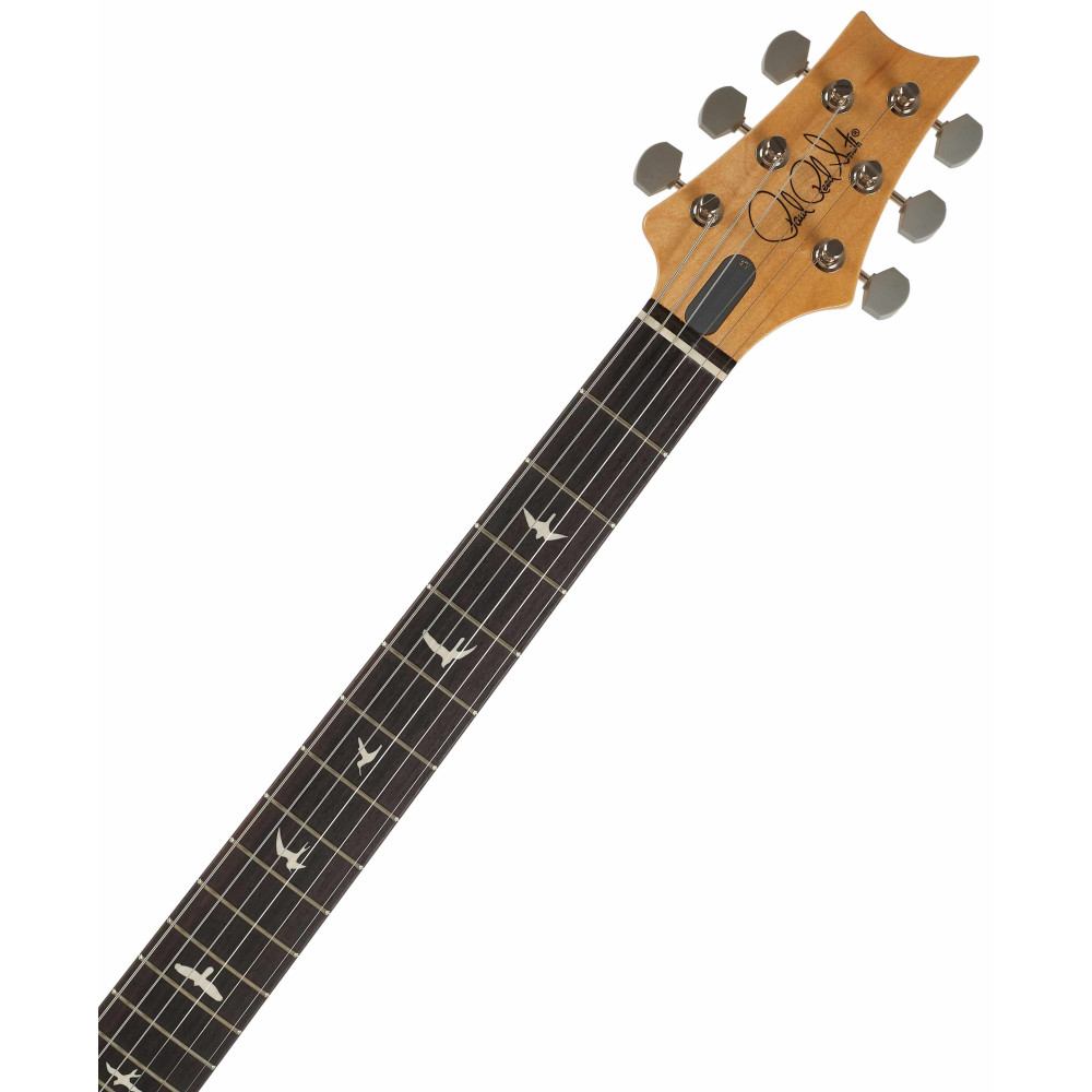 PRS Silver Sky RW Frost