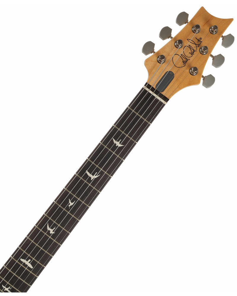 PRS Silver Sky RW Frost