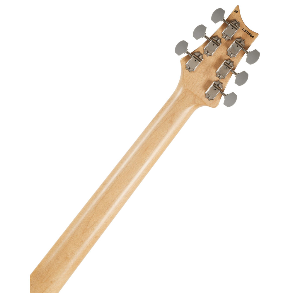 PRS Silver Sky RW Frost