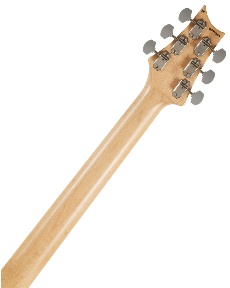 PRS Silver Sky RW Frost