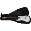 PRS Silver Sky RW Frost
