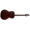 PRS SE Parlor PP20SA Tobacco Sunburst