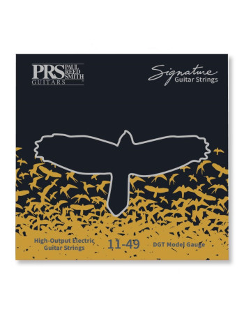 PRS Signature Strings, David Grissom
