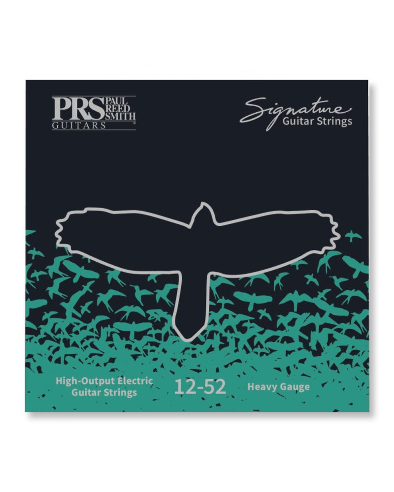 PRS Signature Strings, Heavy