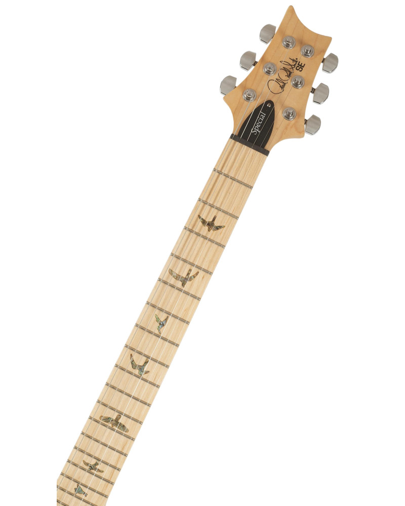 PRS SE Swamp Ash Special Iridescent Blue