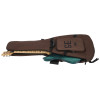 PRS SE Swamp Ash Special Iridescent Blue