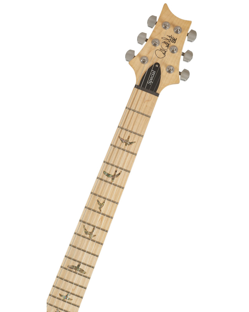PRS SE Swamp Ash Special Charcoal