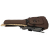 PRS SE Swamp Ash Special Charcoal
