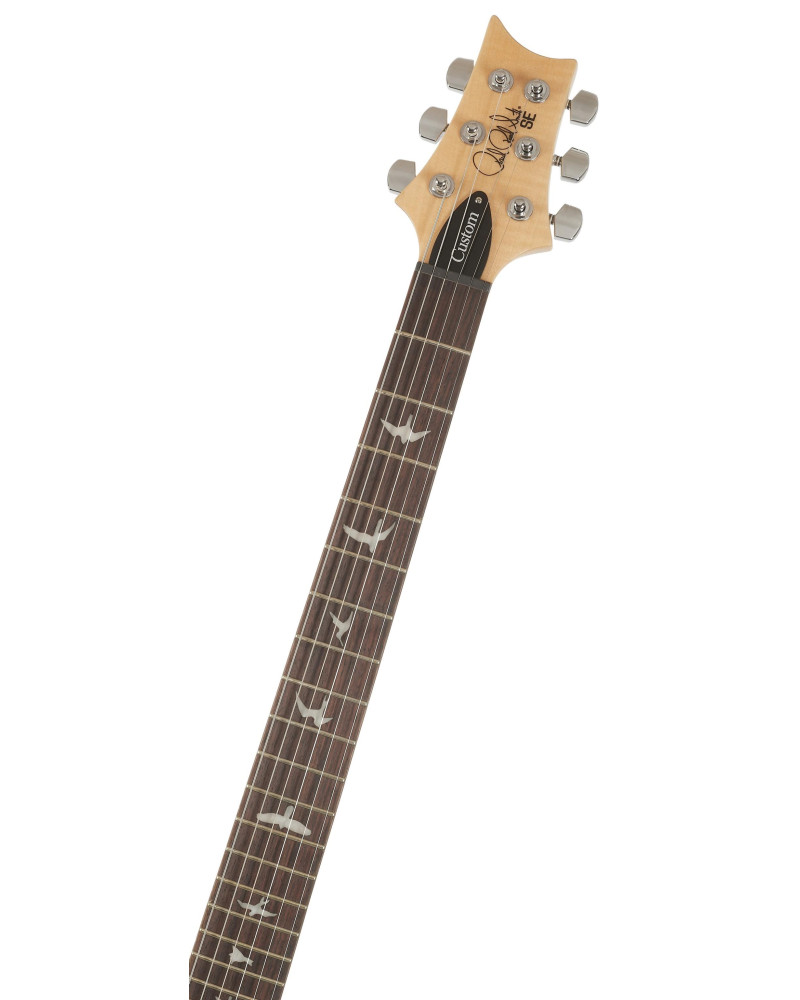PRS SE Custom 24 Turquiose