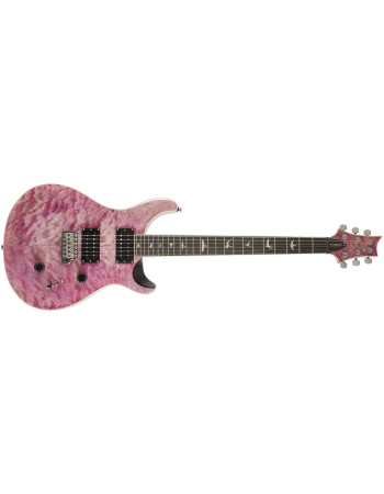 PRS SE Custom 24 Violet