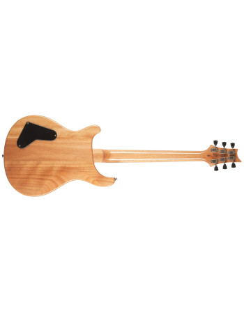 PRS SE Paul's Guitar Turquiose