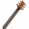 PRS SE Paul's Guitar Turquiose