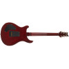 PRS DGT Birds Dark Cherry Sunburst