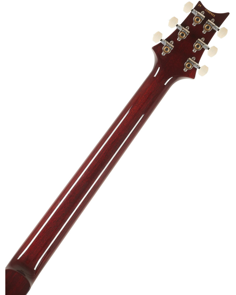 PRS DGT Birds Dark Cherry Sunburst