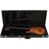 PRS DGT Birds Dark Cherry Sunburst