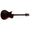 PRS Tremonti Charcoal Purple Burst