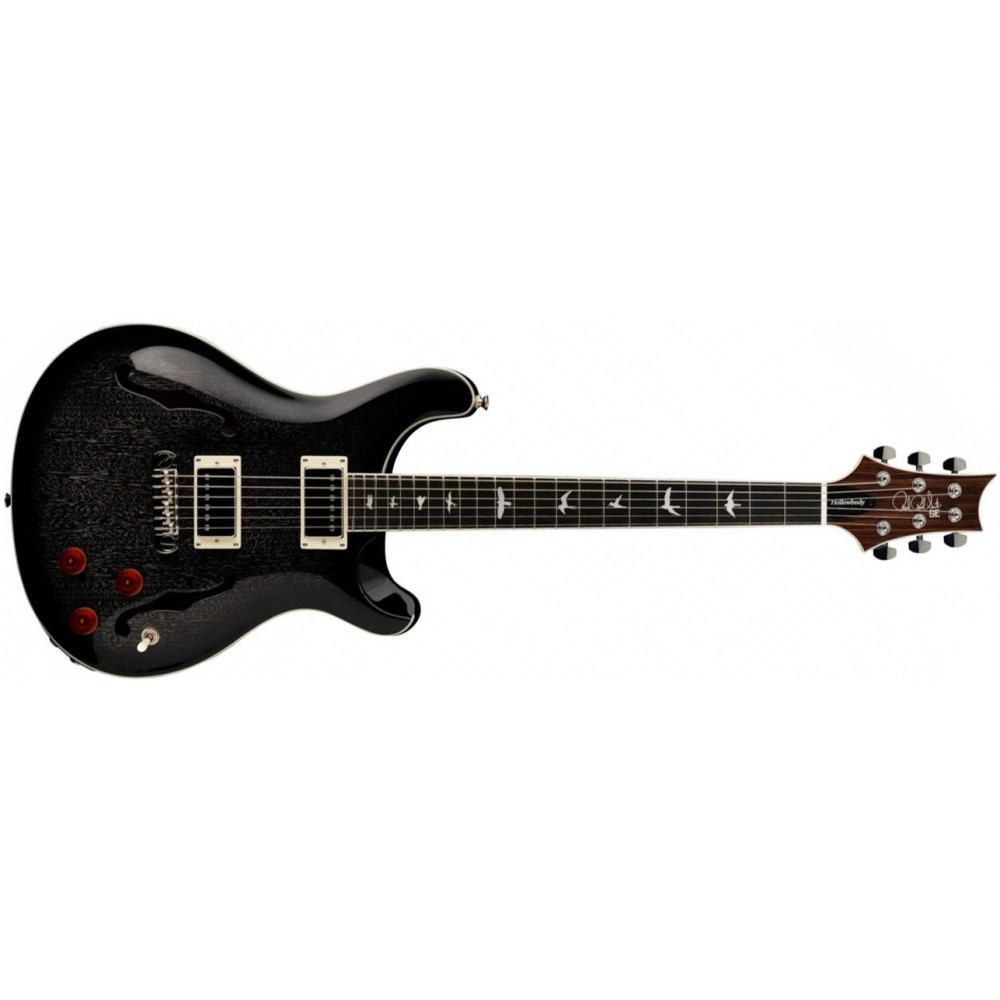 PRS SE Hollowbody Standard Dog Hair Smokeburst