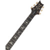 PRS Custom 24 Aurora Borealis