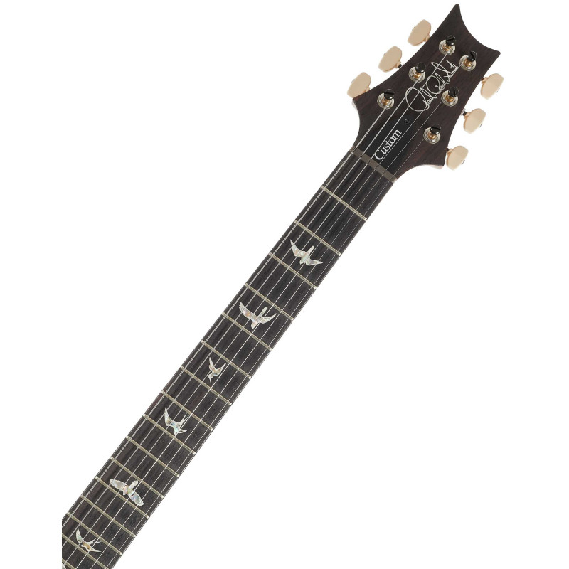 PRS Custom 24 Aurora Borealis