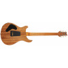 PRS Custom 24 Piezo Aurora Borealis