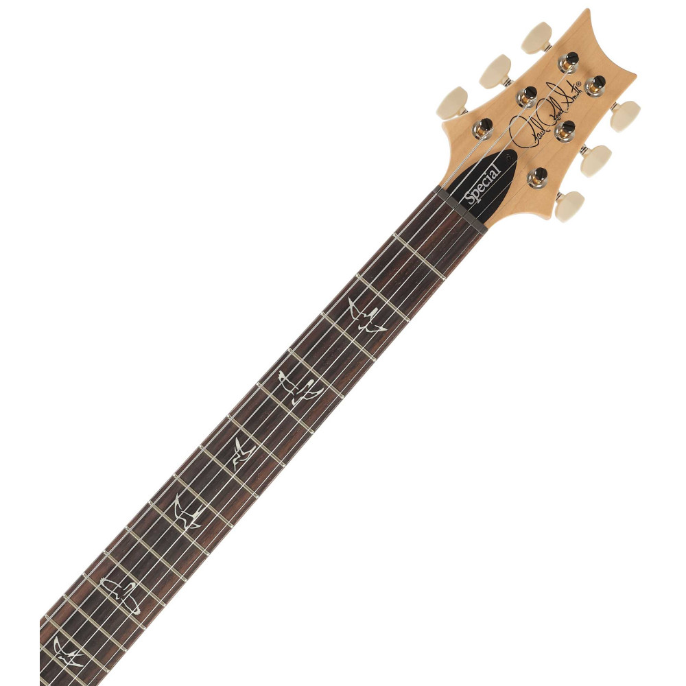 PRS Swamp Ash Special Black Doghair Smokeburst