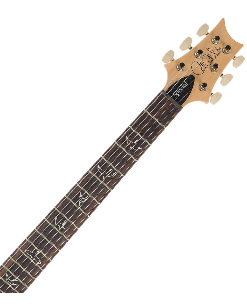 PRS Swamp Ash Special Black Doghair Smokeburst