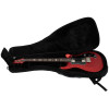 PRS S2 Standard 22 Satin Red Apple Metallic