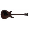 PRS SE Exotic DGT Laurel Burl McCarty Tobacco Burst